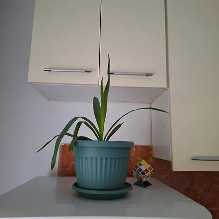 8 Apartment